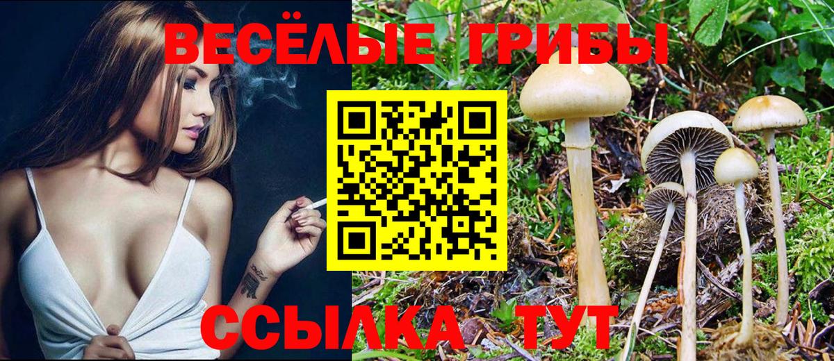 Галлюциногенные грибы Psilocybe  Псилоцибиновые грибы ЛСД  Амурск  Вход с VPN 