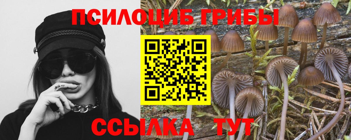 Псилоцибиновые грибы GOLDEN TEACHER Амурск